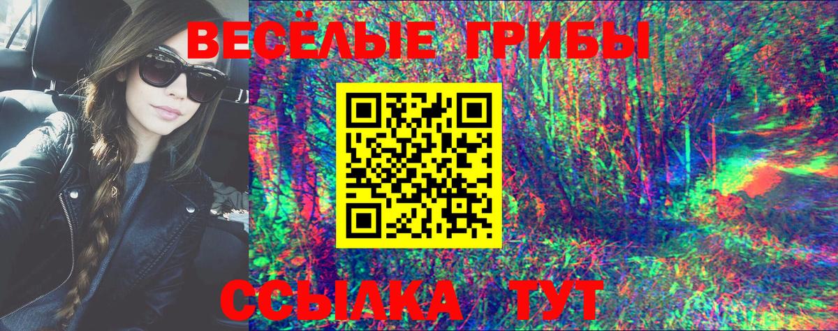 Саров  Вход с VPN  Cocaine  Меф кристаллы  Канабис  Гашиш 