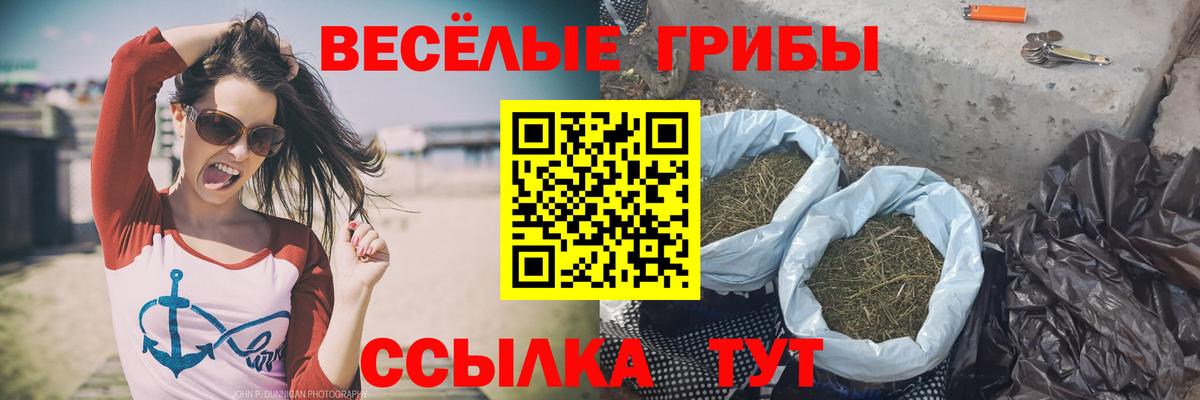 Галлюциногенные грибы ЛСД Саров